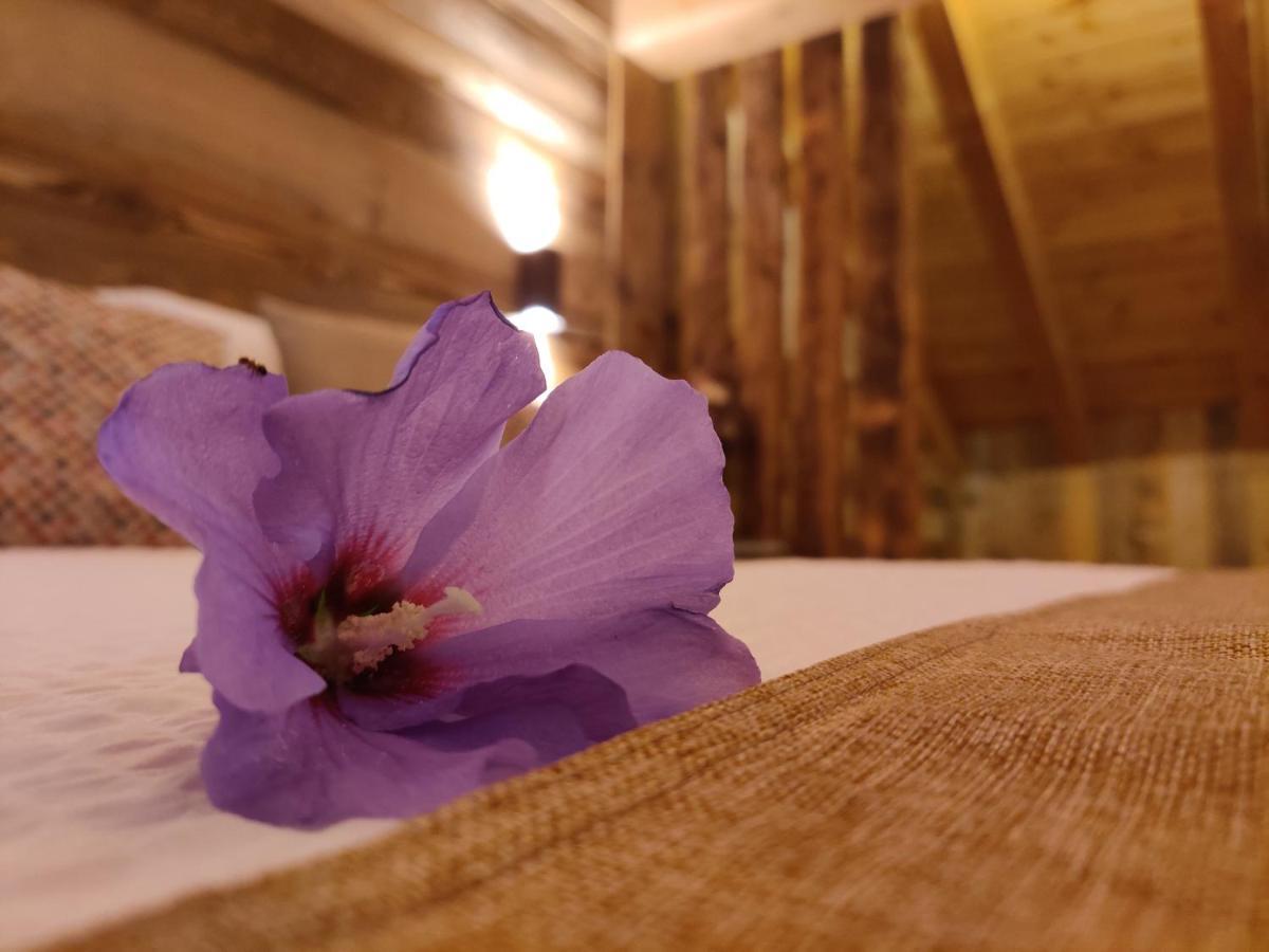 Au Fond Du Bourg Apartment Aosta Ngoại thất bức ảnh